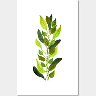 Tangled Leaf vines Posters and Art